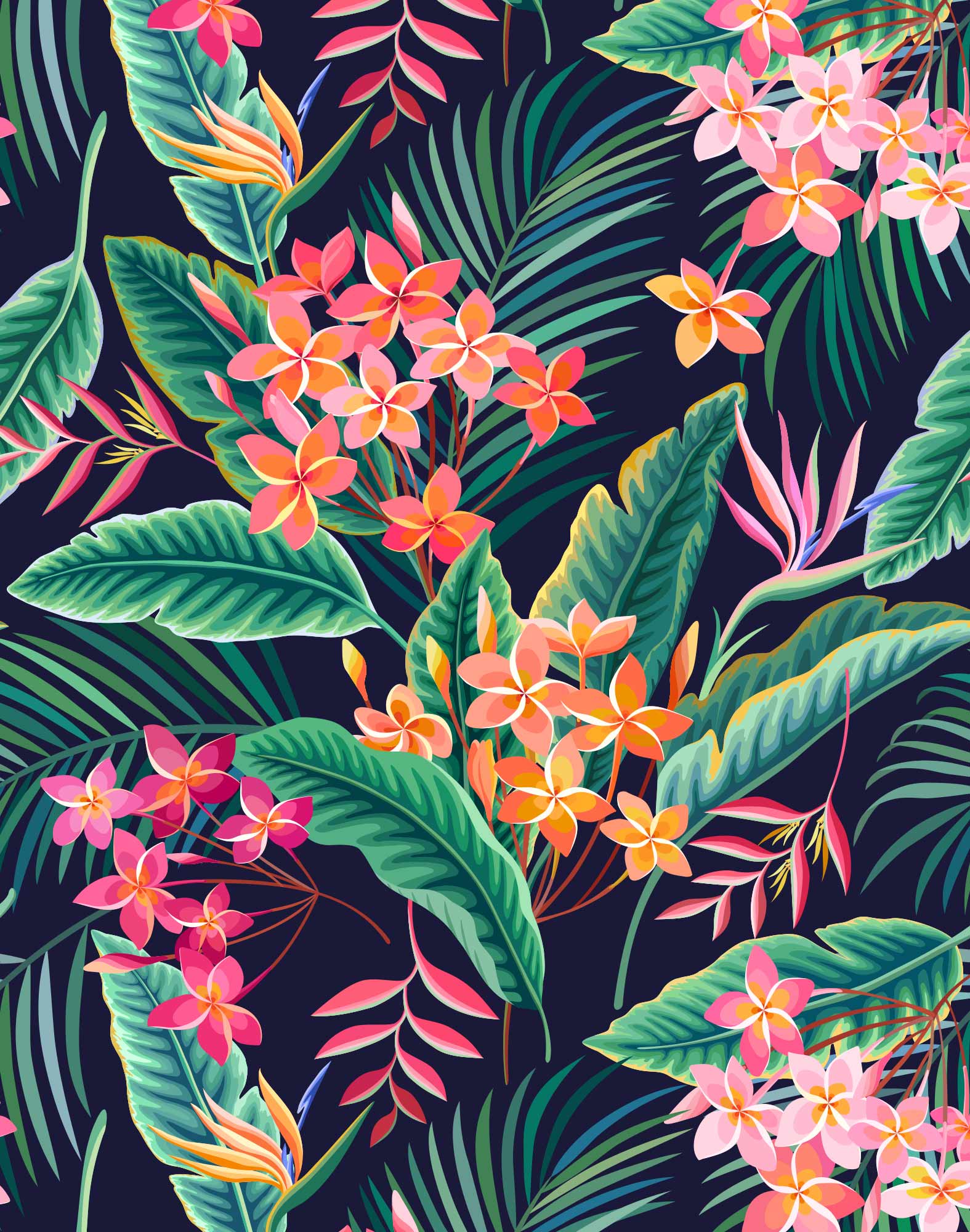 boxer court palapala2 PULLIN en lycra