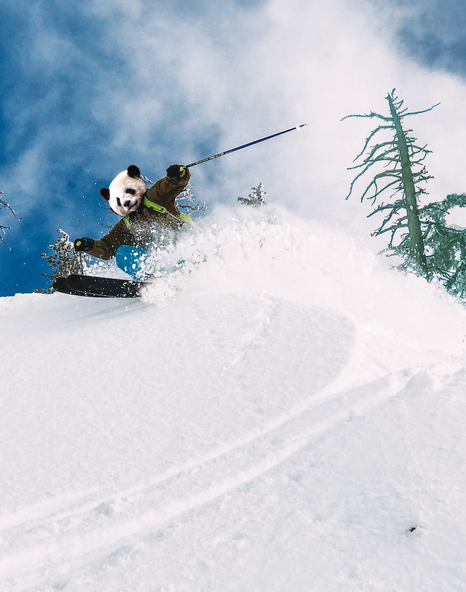 boxer homme imprimé boxer court pandapowder PULLIN en lycra