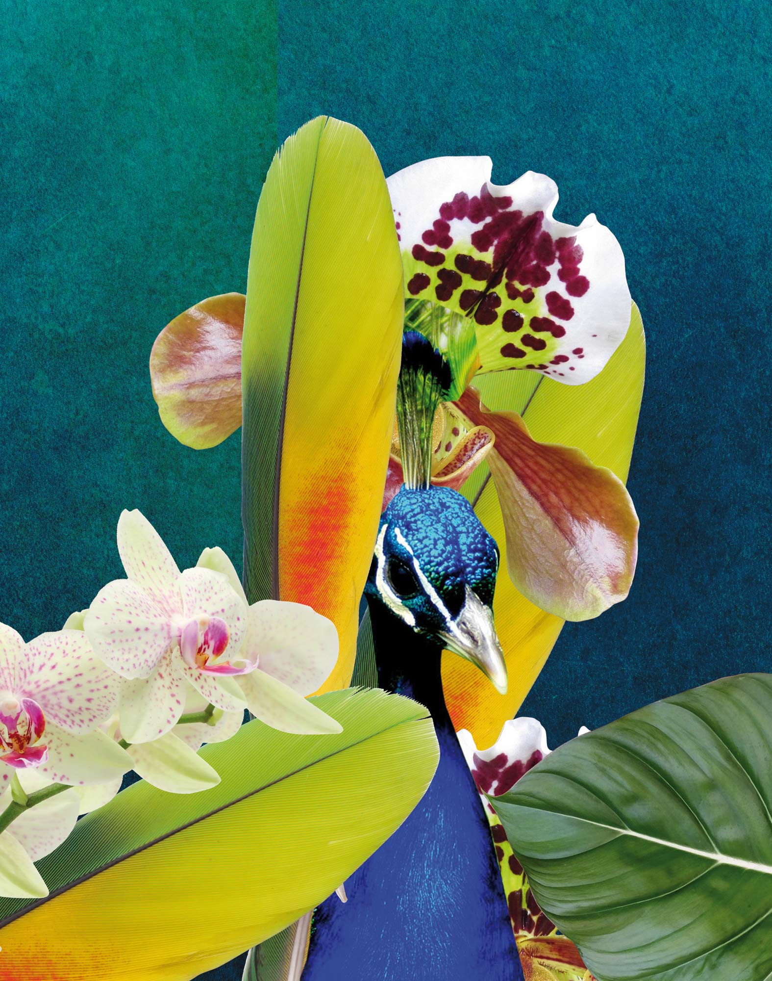 boxer court paon PULLIN en polyester