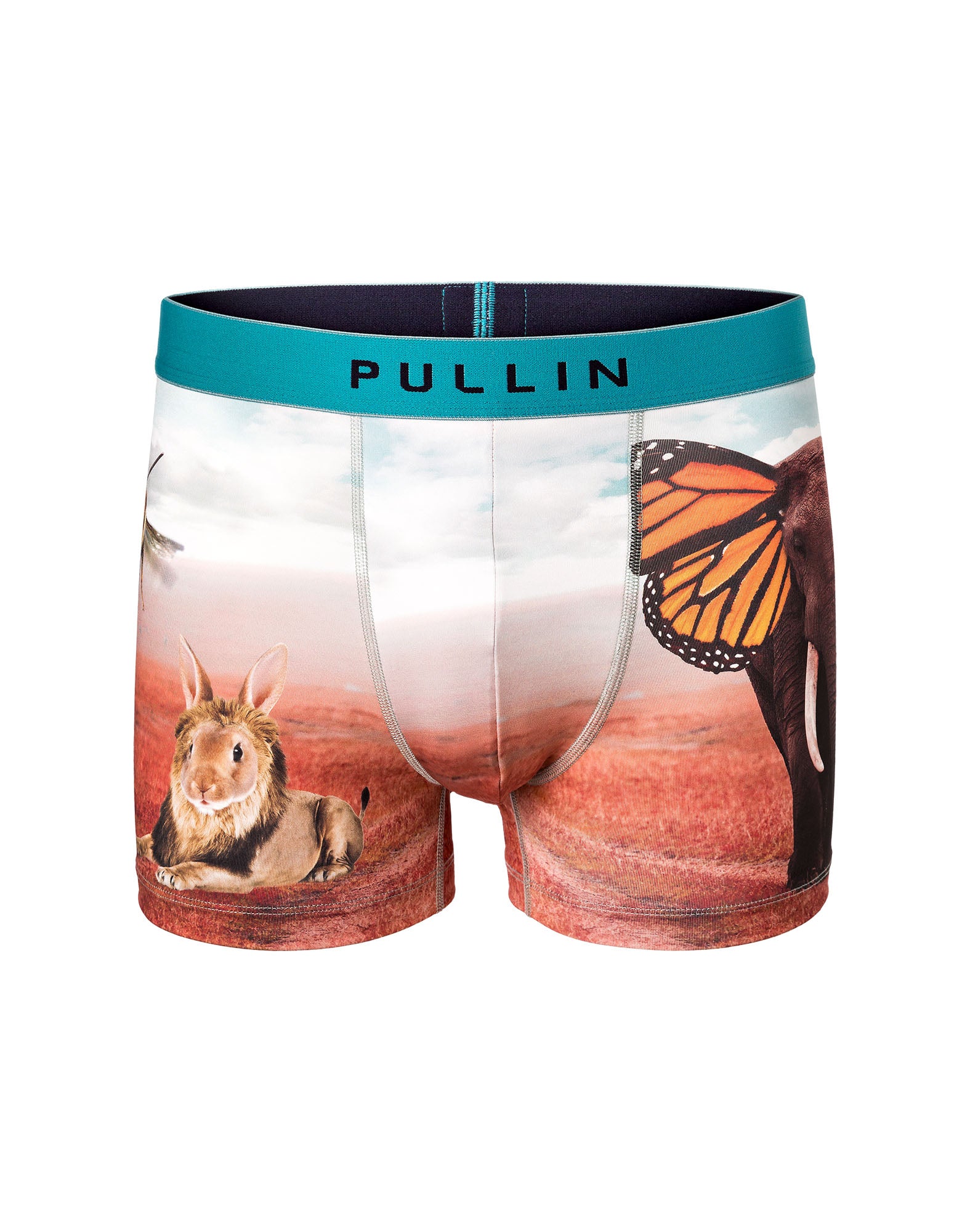 boxer court pets PULLIN en polyester