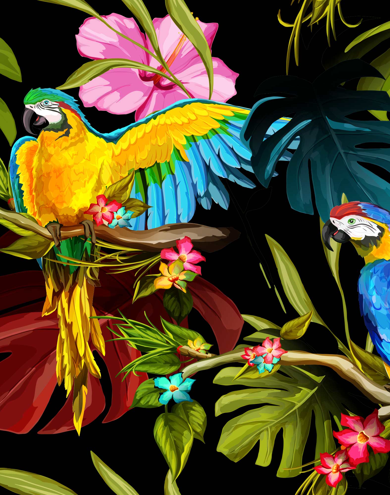 boxer court pikou PULLIN en lycra