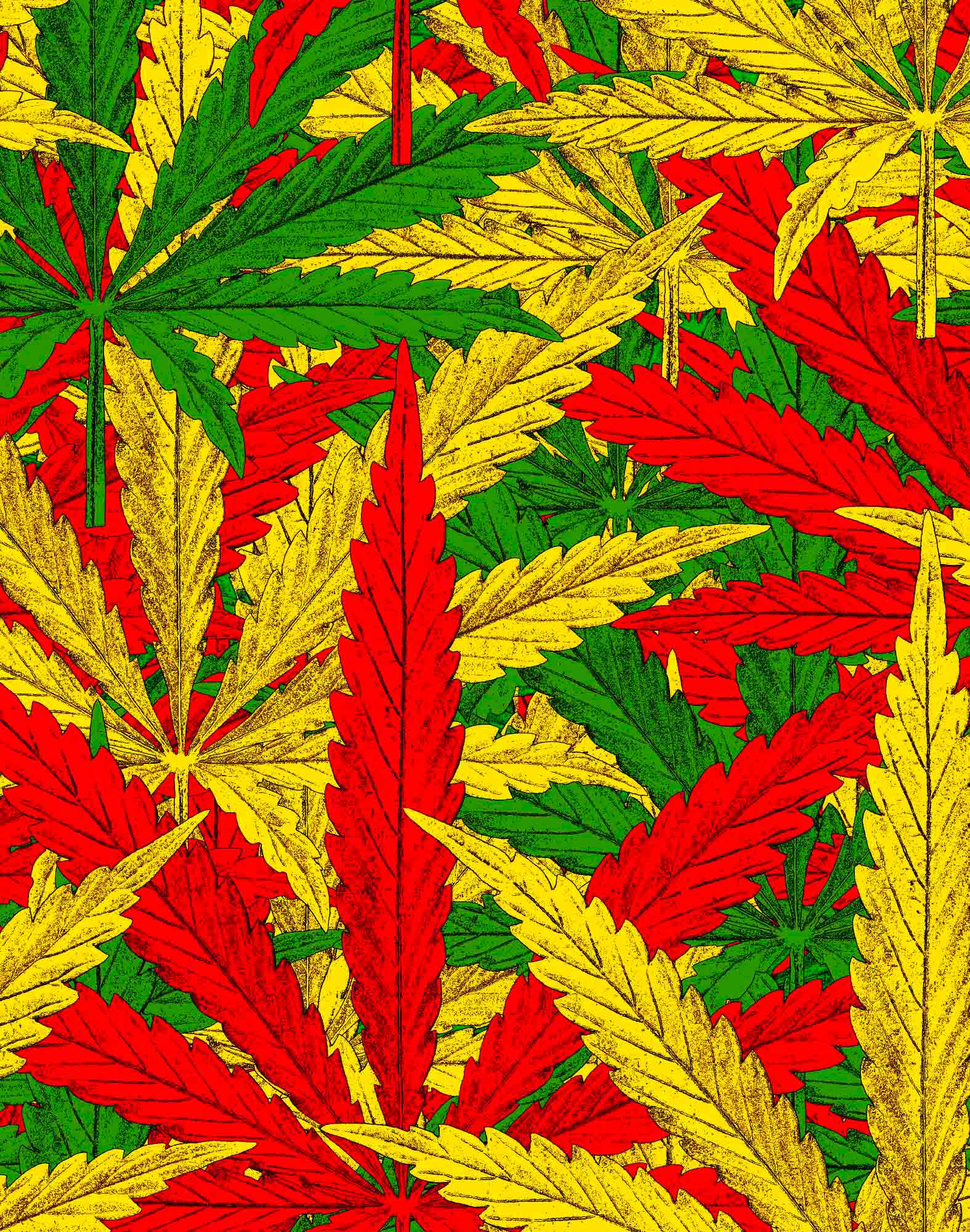 boxer court rastaman PULLIN en lycra