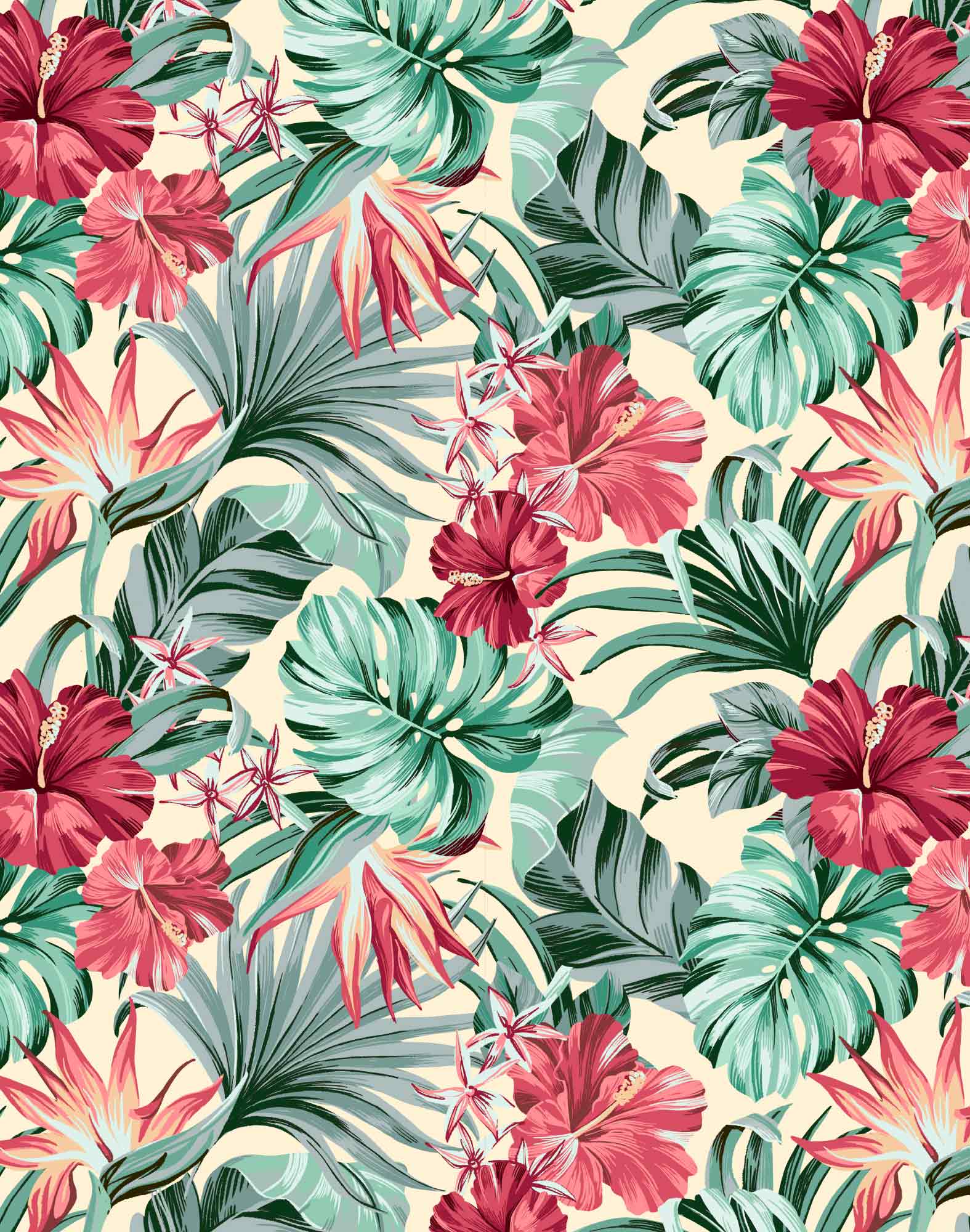 boxer court redpalm2 PULLIN en lycra