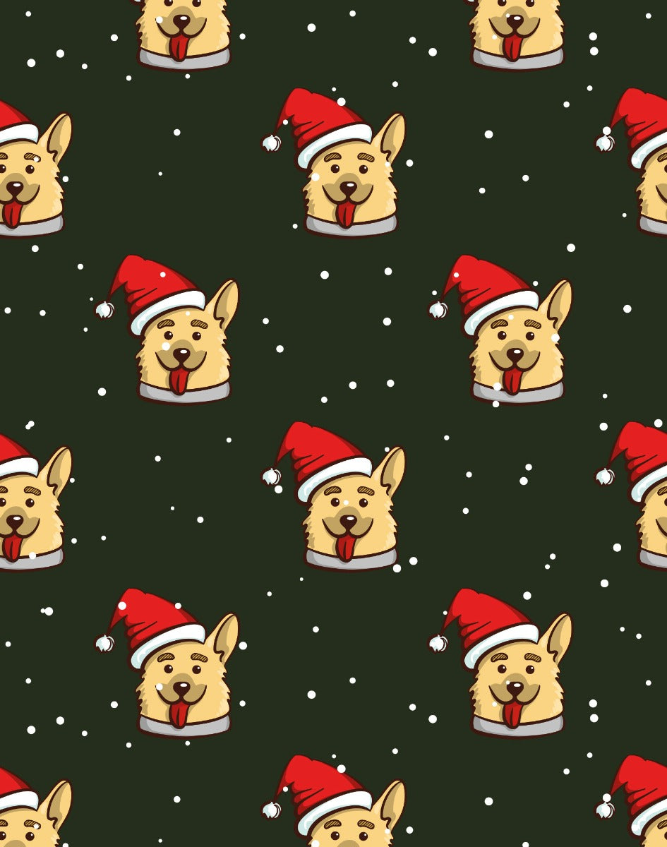 boxer court santadoggo PULLIN en lycra