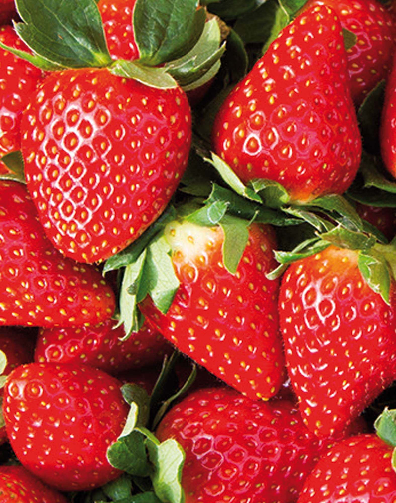 boxer court sgfraises PULLIN en polyamide