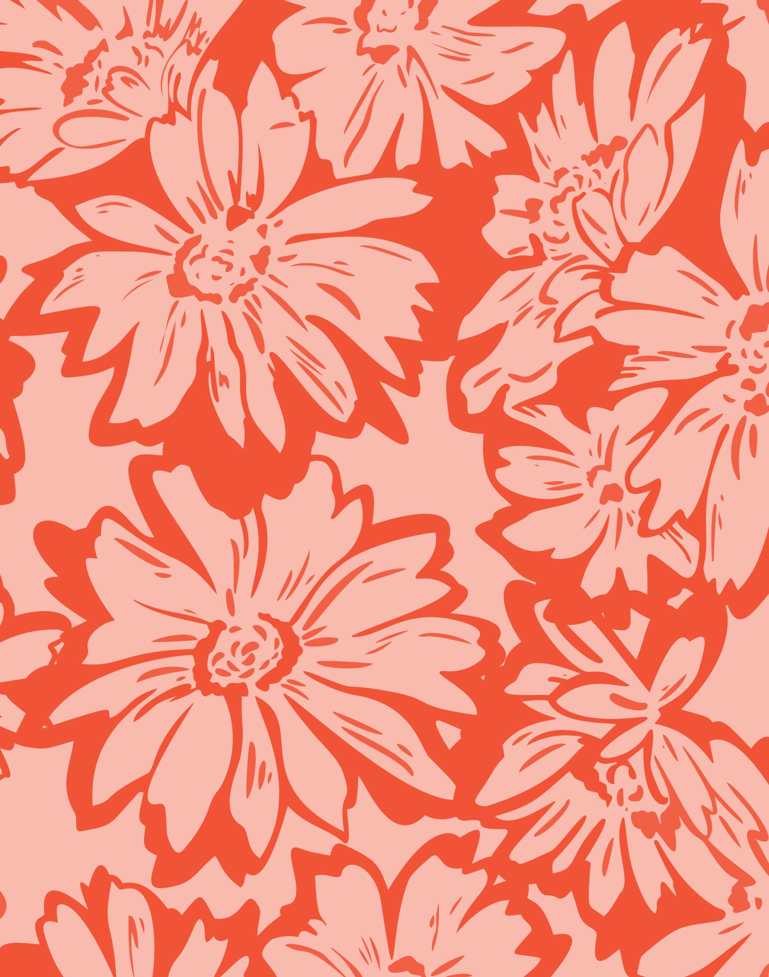 boxer court summergard PULLIN en lycra