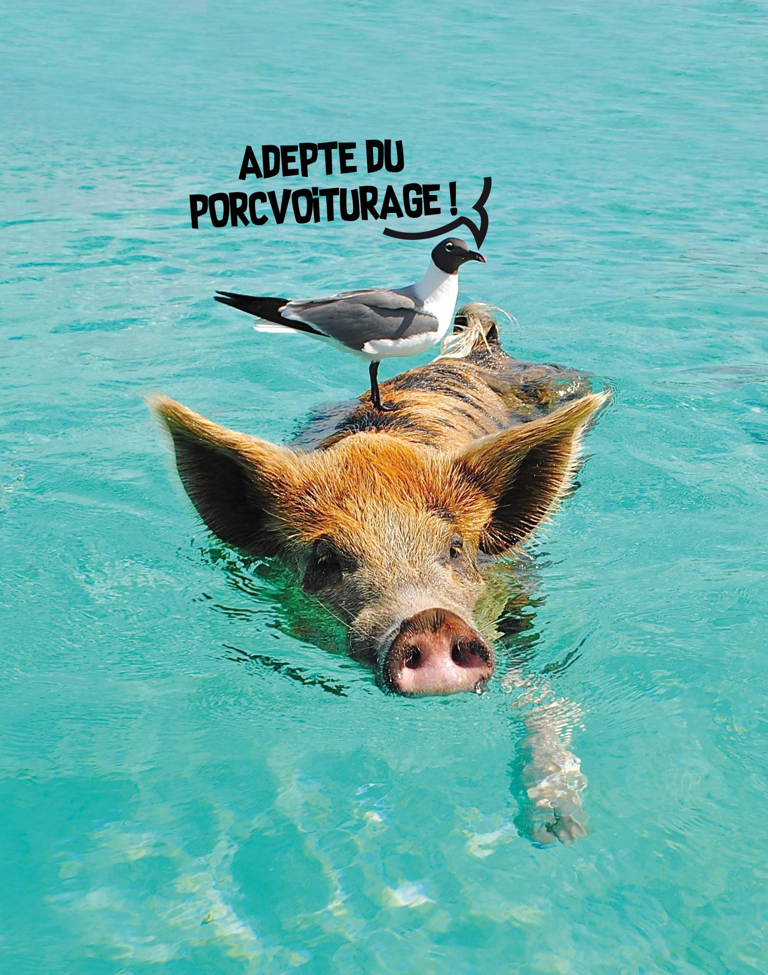 boxer court taxipig PULLIN en polyester