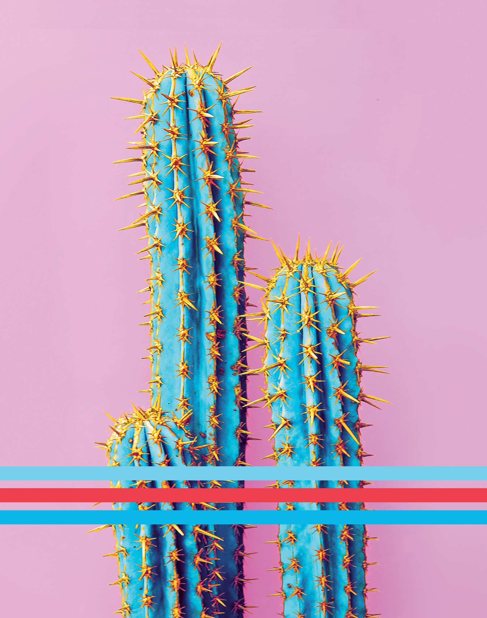 boxer court coton imprime dutronc PULLIN en coton