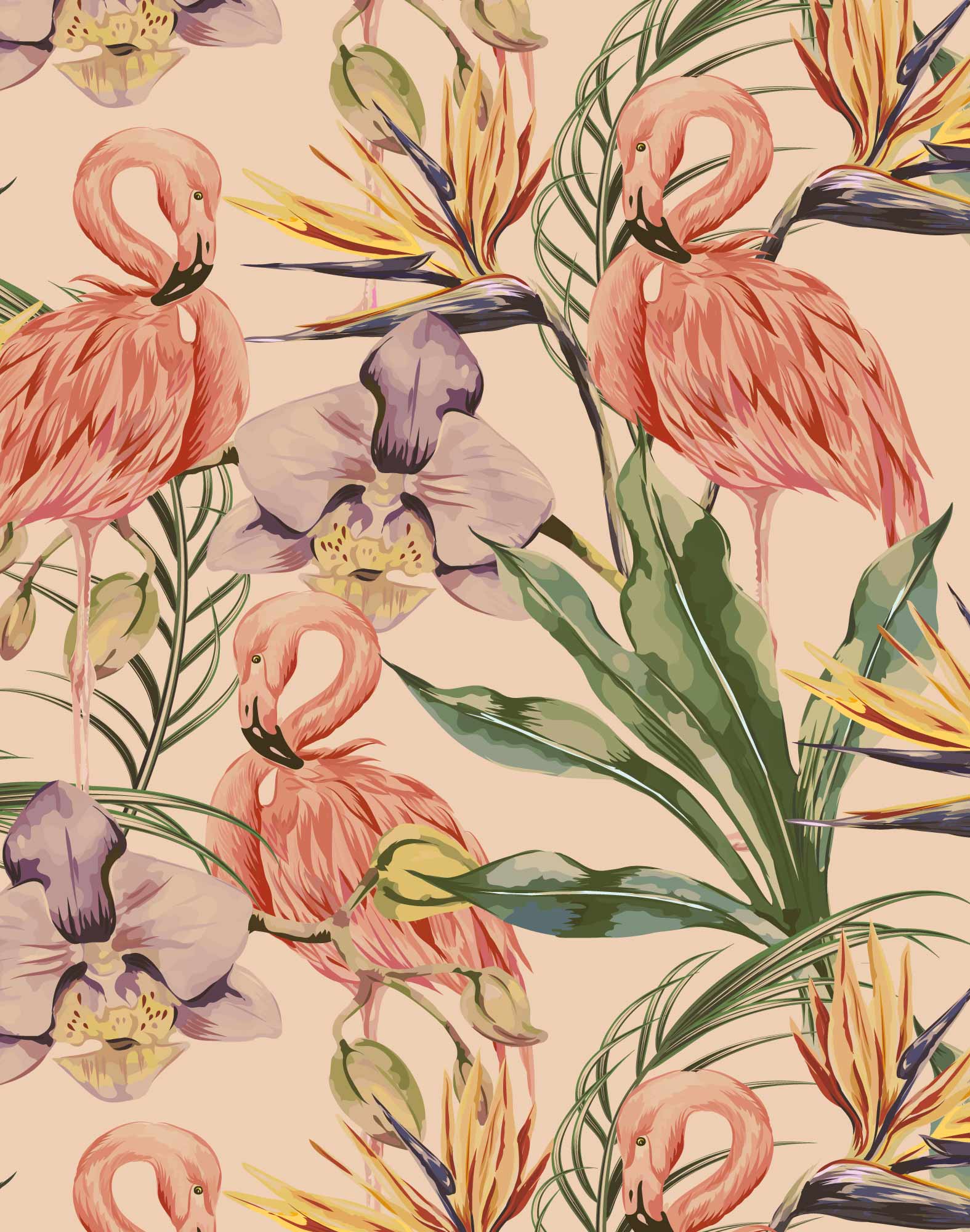 boxer court coton imprime flamingotropi PULLIN en coton