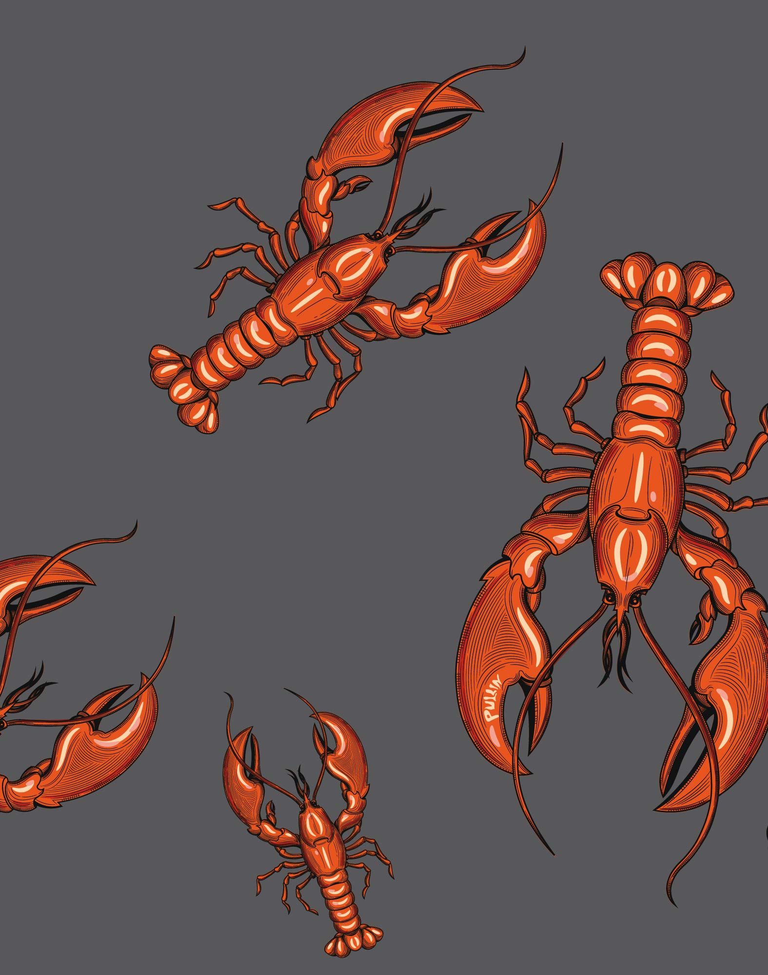 boxer court coton imprime lobster PULLIN en coton