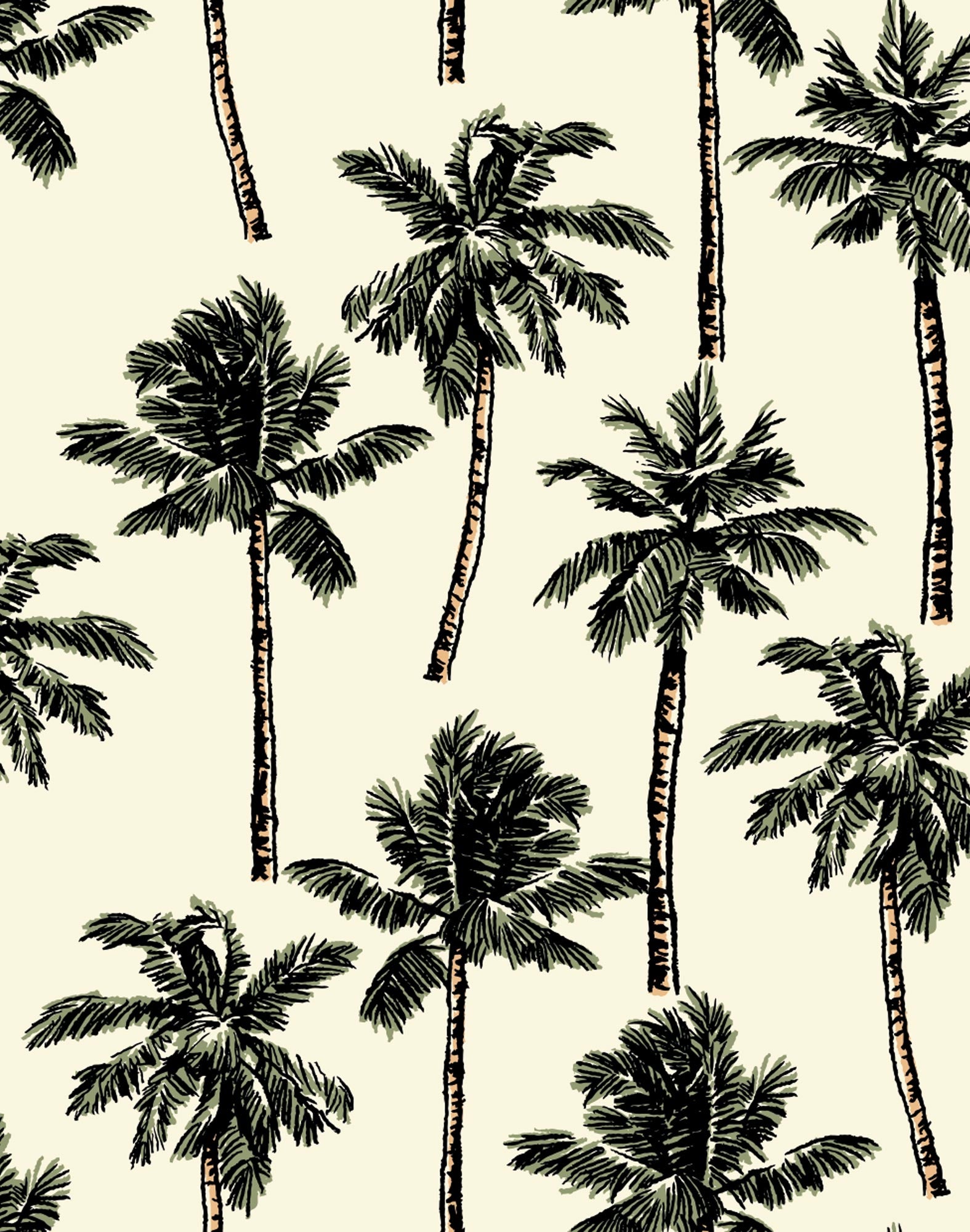 parachute palmito PULLIN