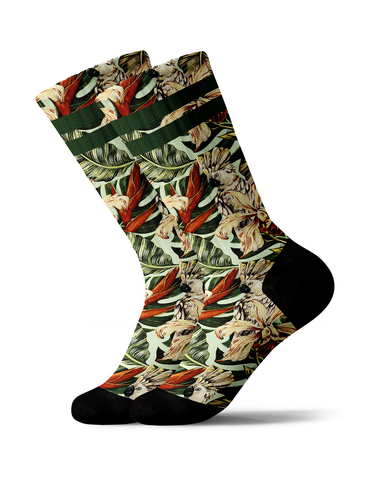 chaussettes sublimées botani PULLIN