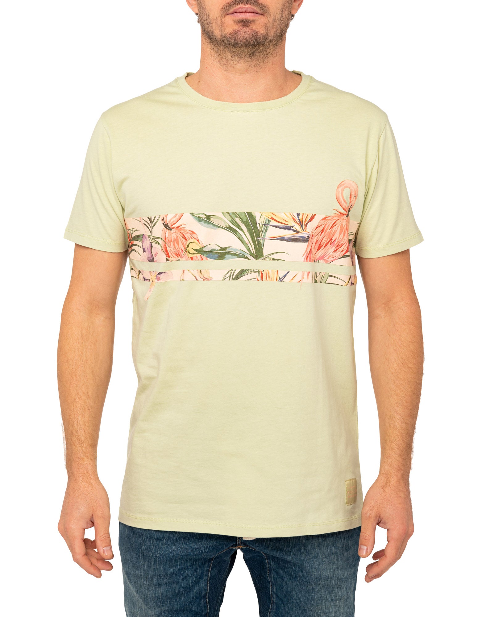 tsh lineflamingo PULLIN en coton