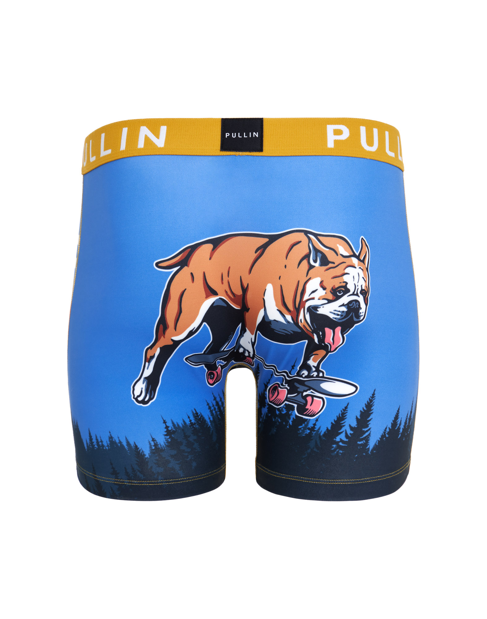 Boxer homme FASHION 2 DOGSK8